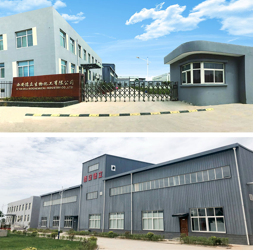 Xi'an Deli Biochemical Industry Co., Ltd.: Inovație de frunte în derivatele ciclodextrinei, abilitarea industriei farmaceutice