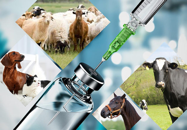 Îmbunătățirea medicamentelor veterinare cu hidroxipropil betadex